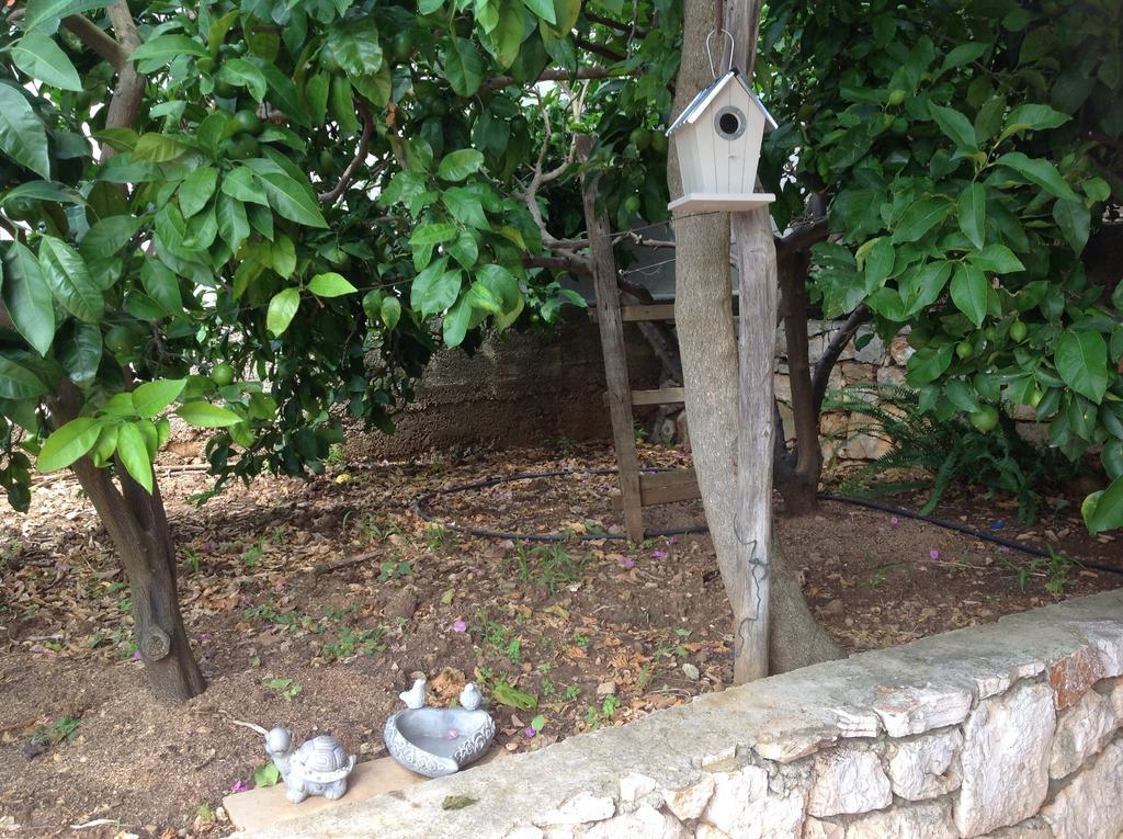 Apartmani Roic Stari Grad  Bagian luar foto